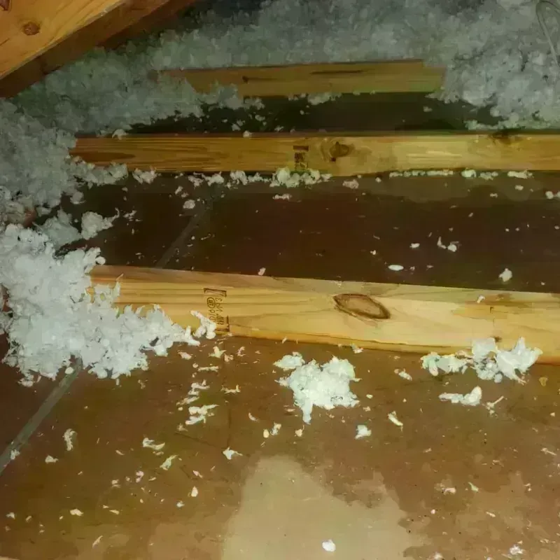 Attic Water Damage in Garner, NC