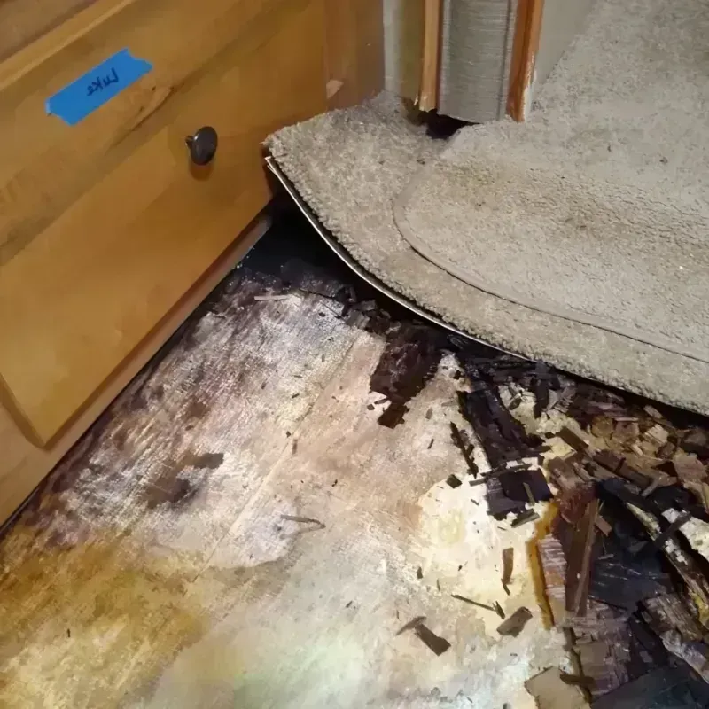 Wood Floor Water Damage in Garner, NC